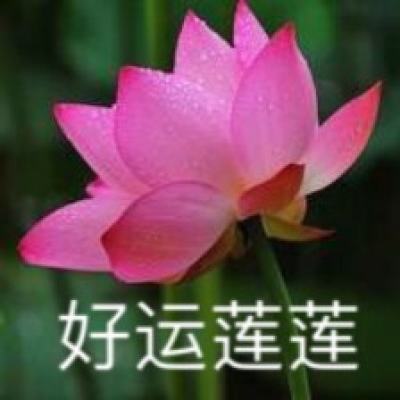 “四新”赋能“破题”新质生产力，浙江移动发布系列能力交出高分“答卷”